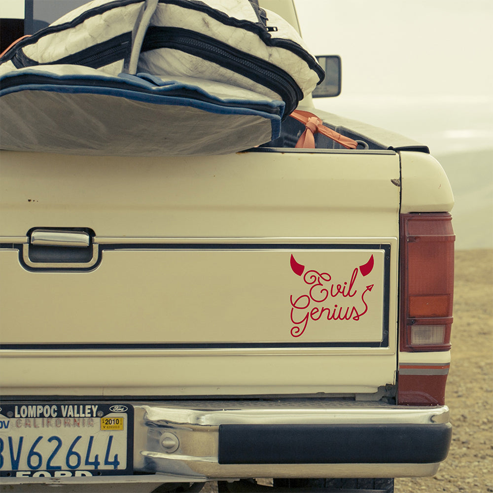 Evil Genius | Bumper sticker