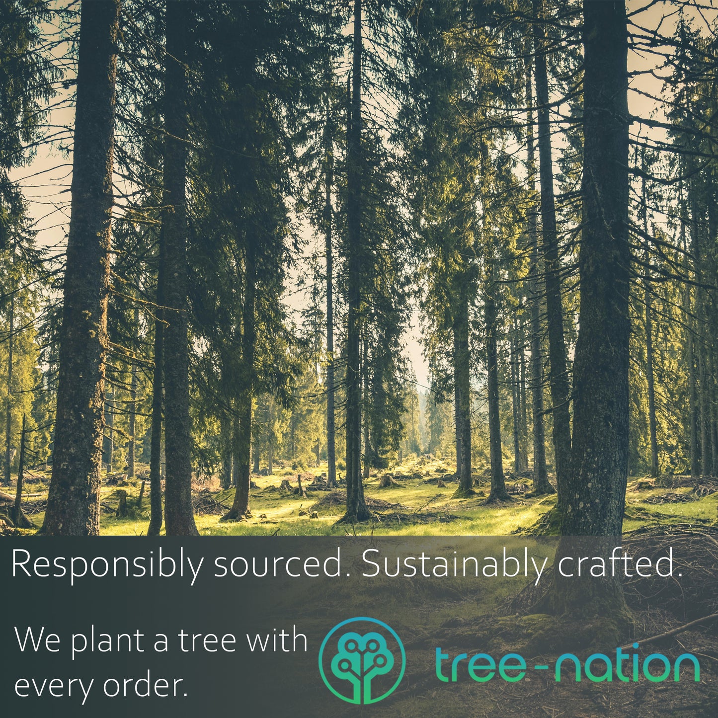 We will plant a tree with every order placed through Tree-Nation