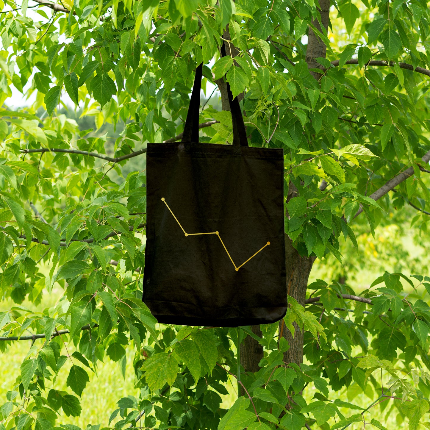 Cassiopeia constellation | 100% Organic Cotton tote bag