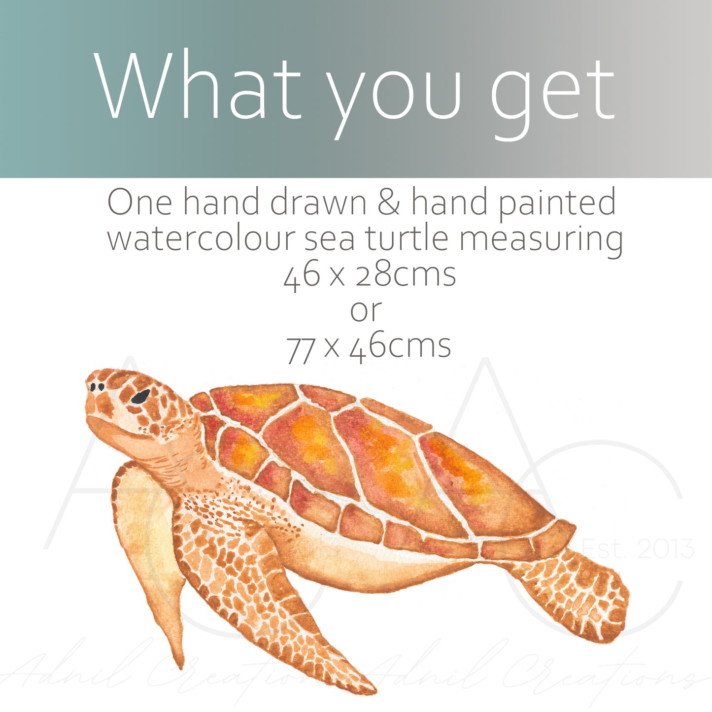 Watercolour turtle | Fabric wall stickers-Fabric wall stickers-Adnil Creations
