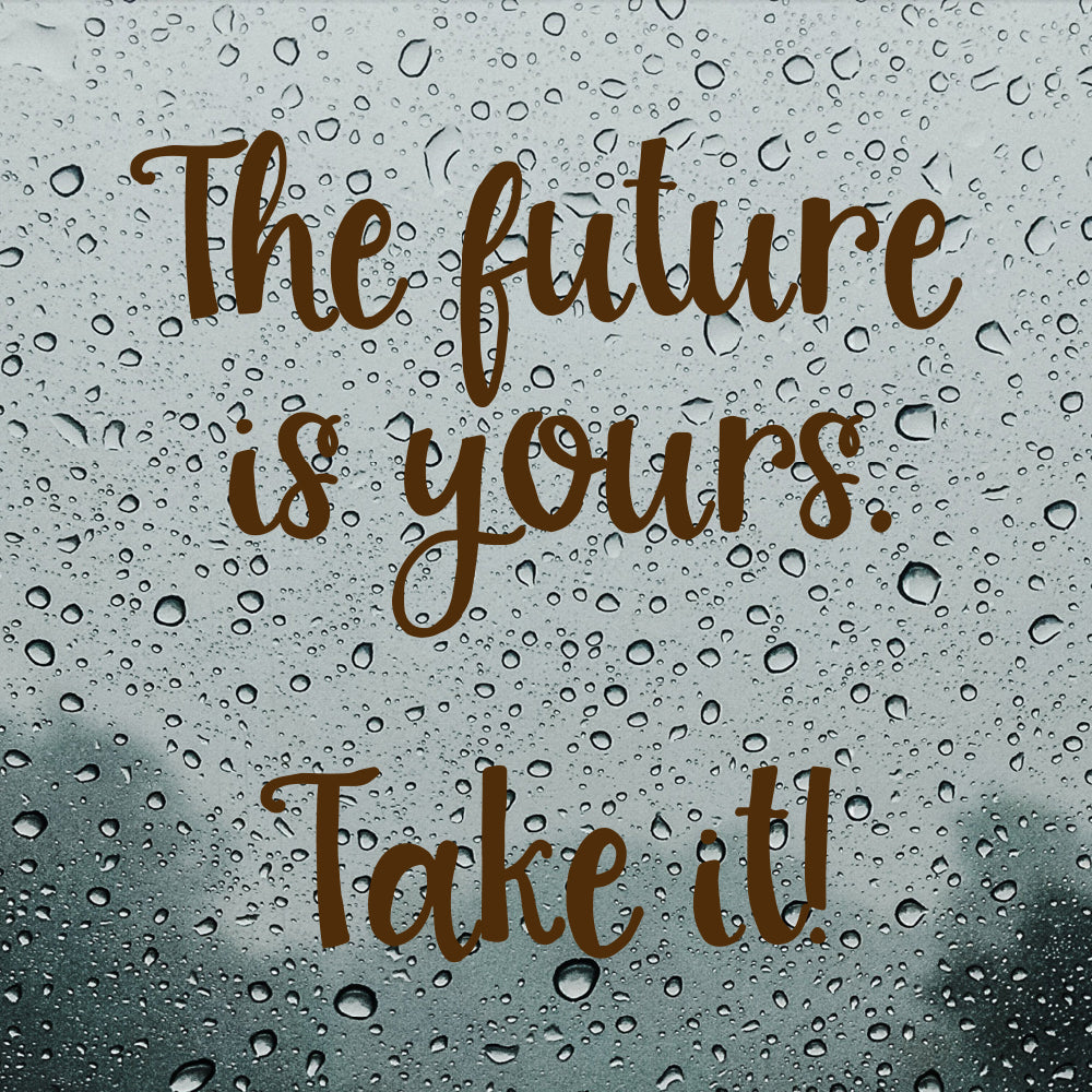 The future is yours take it | Bumper sticker - Adnil Creations