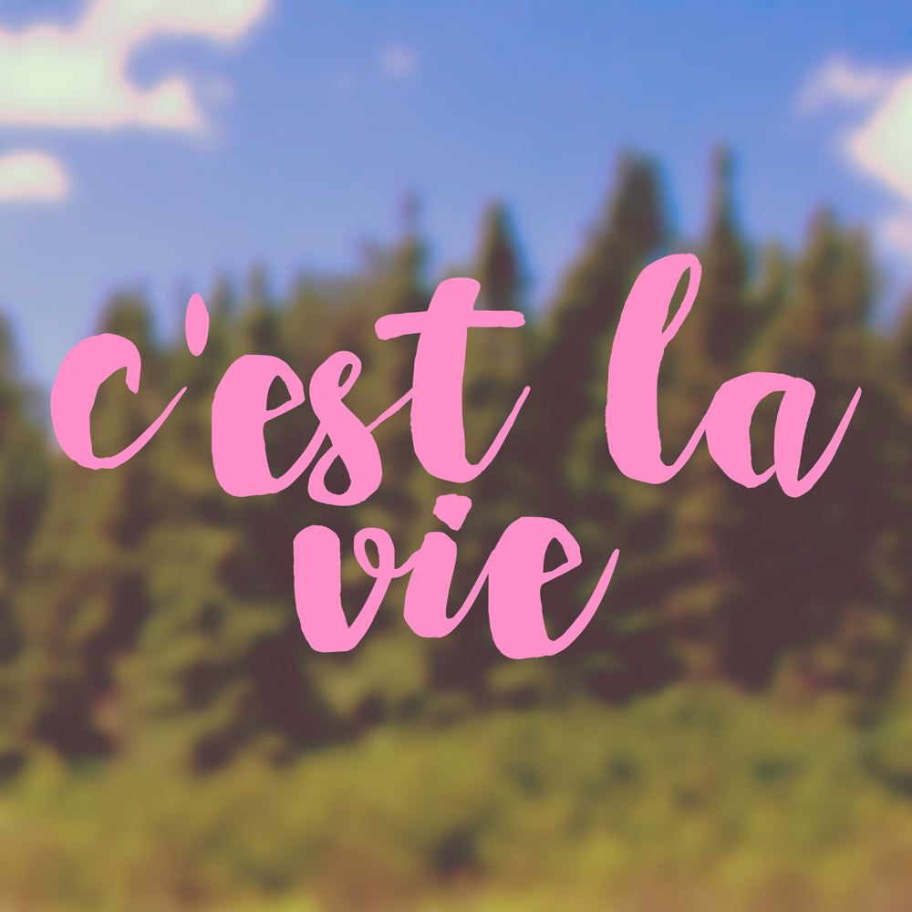 C'est la vie | Bumper sticker - Adnil Creations