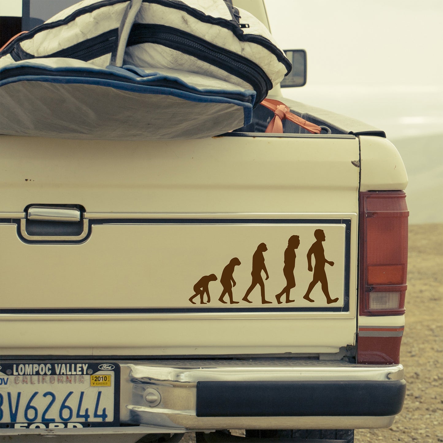 Evolution, Charles Darwin | Bumper sticker
