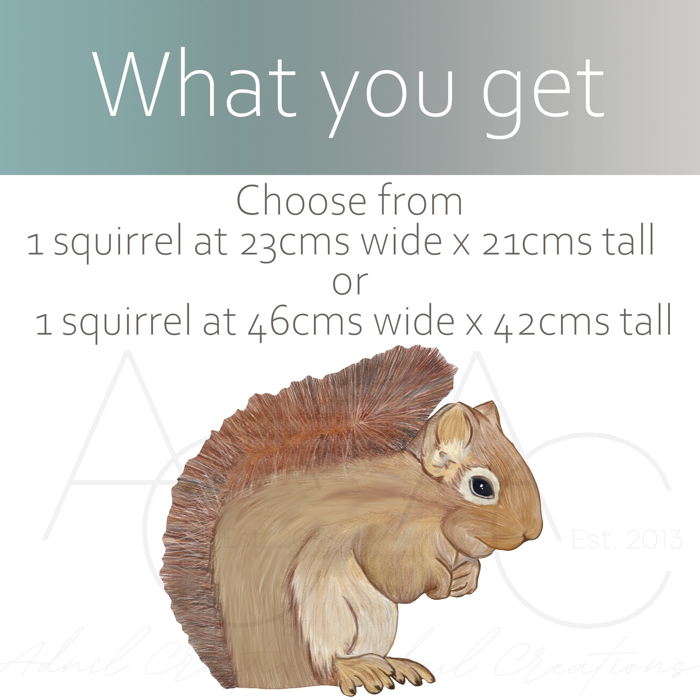 Hand drawn red squirrel | Fabric wall stickers