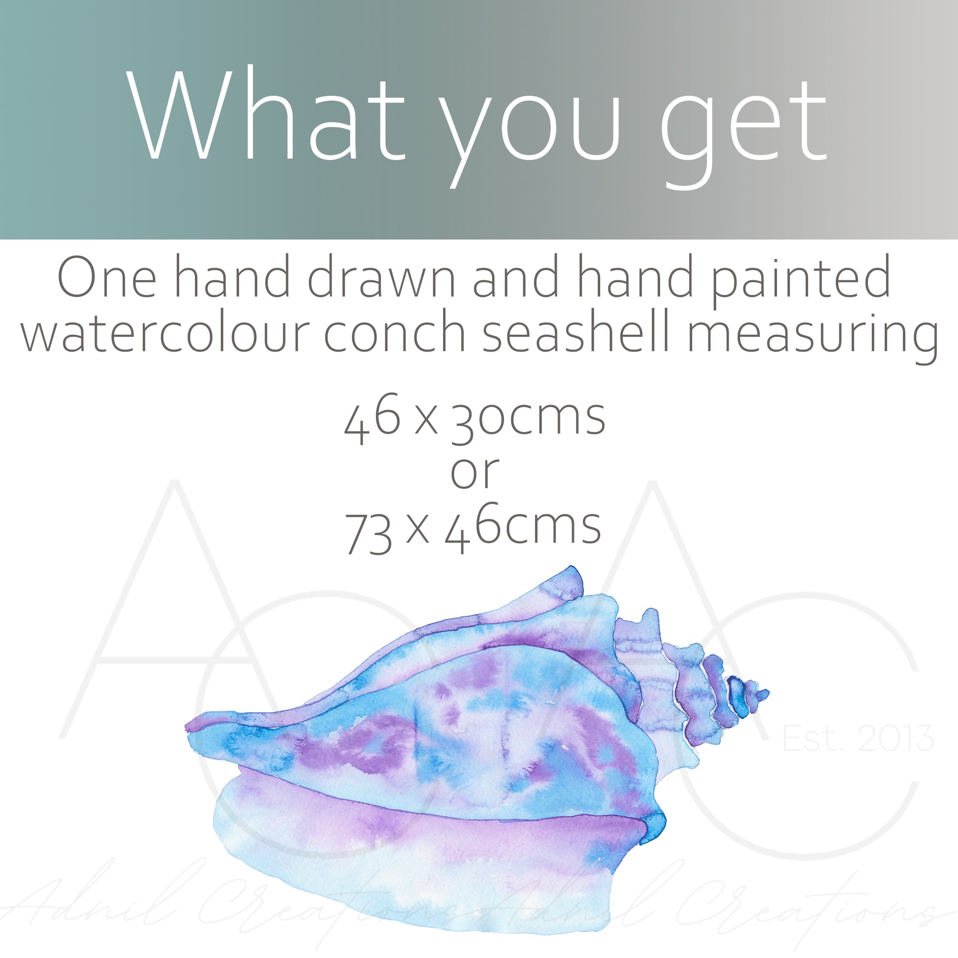 Watercolour conch seashell | Wall decal-Fabric wall stickers-Adnil Creations