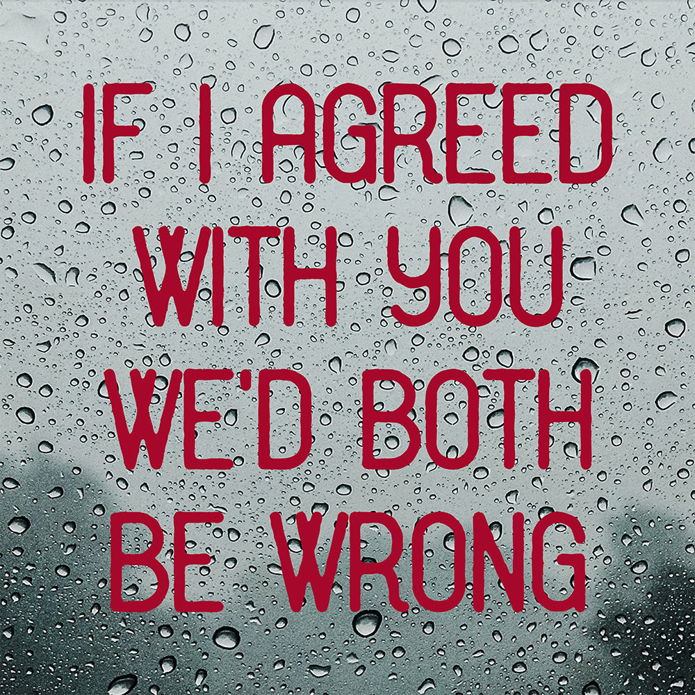 If I agreed with you | Bumper sticker-Bumper stickers-Adnil Creations