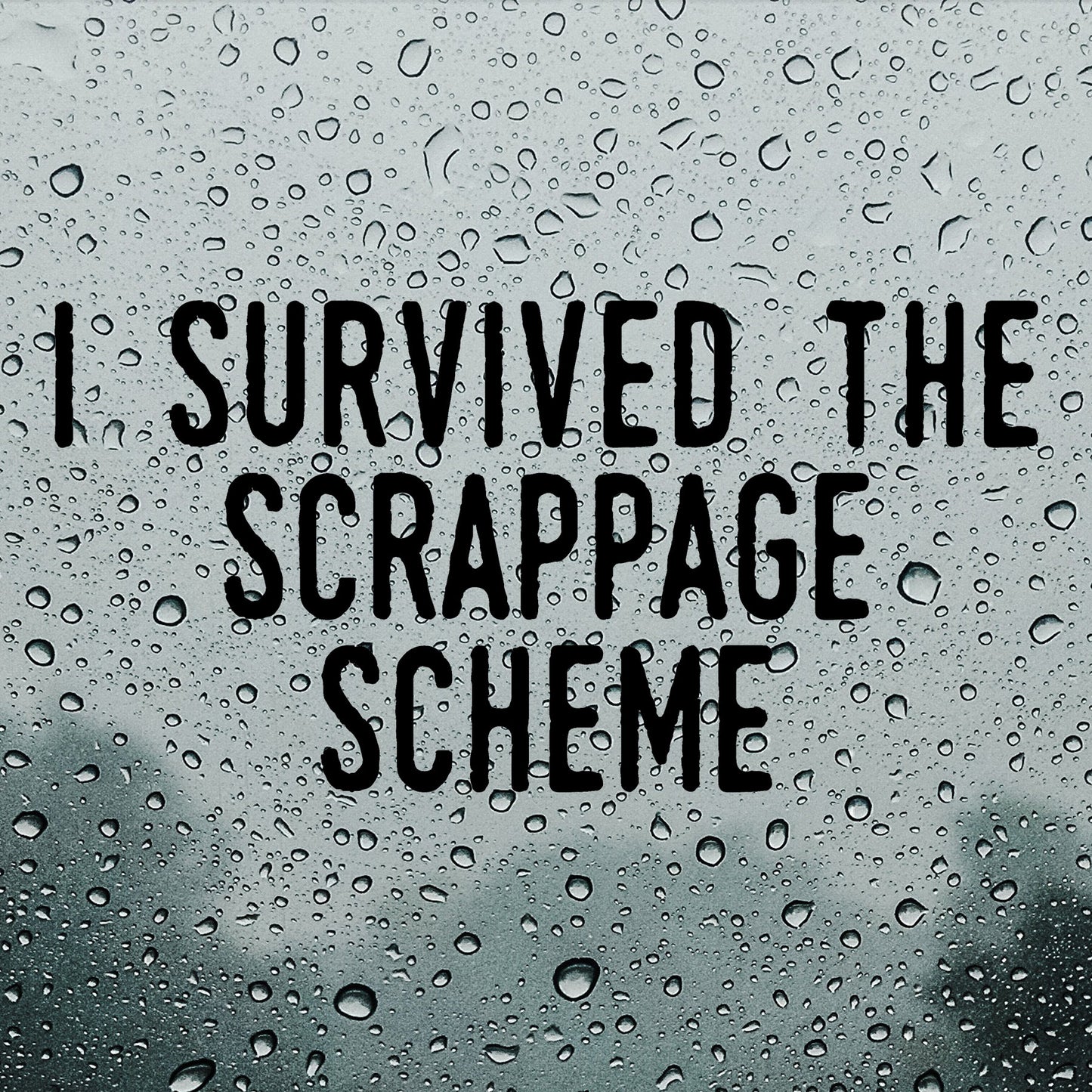 I survived the scrappage scheme | Bumper sticker - Adnil Creations