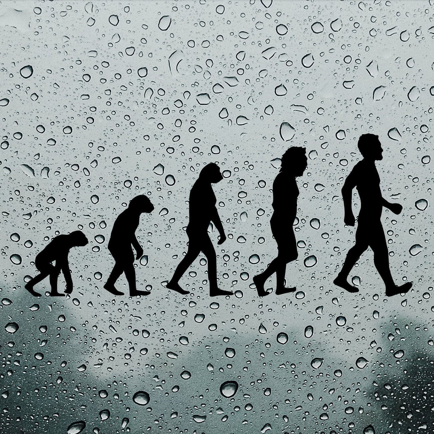 Evolution, Charles Darwin | Bumper sticker - Adnil Creations