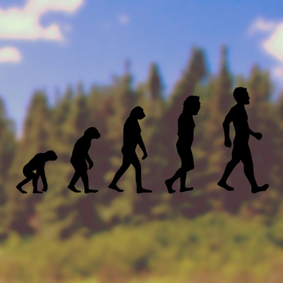 Evolution, Charles Darwin | Bumper sticker - Adnil Creations