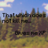 That which does not kill me gives me XP | Bumper sticker - Adnil Creations