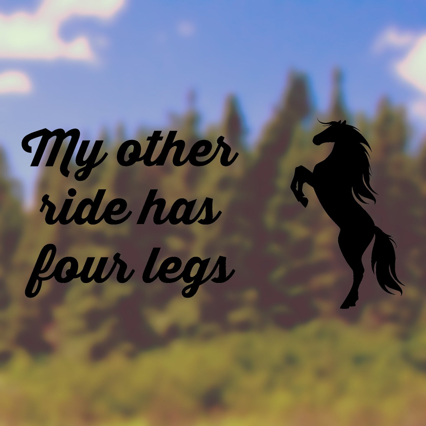 My other ride has four legs | Bumper sticker - Adnil Creations