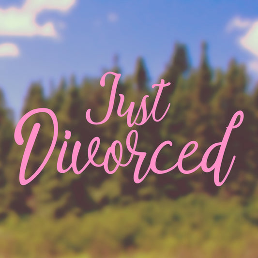 Just divorced | Bumper sticker - Adnil Creations