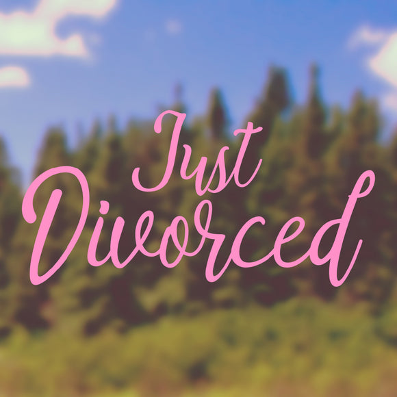 Just divorced | Bumper sticker - Adnil Creations