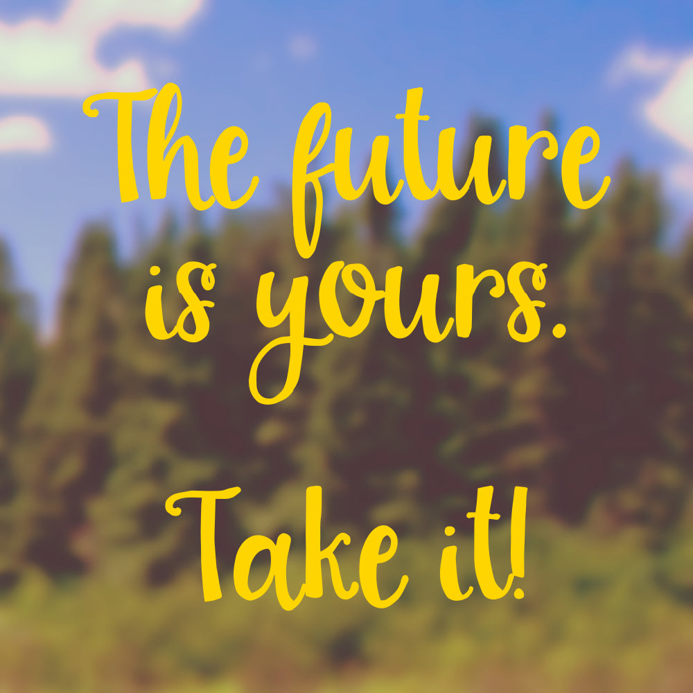 The future is yours take it | Bumper sticker - Adnil Creations