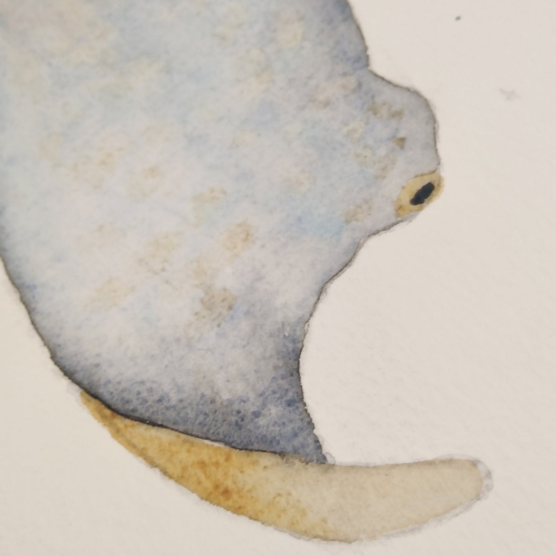 Watercolour manta ray | Fabric wall stickers - Adnil Creations