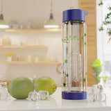 Capricorn Constellation Infuser Water Bottle