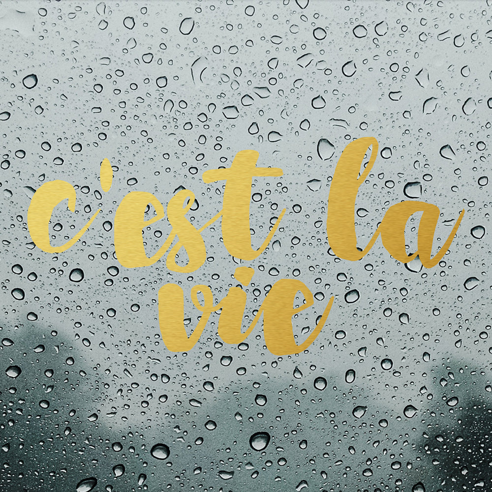 C'est la vie | Bumper sticker - Adnil Creations