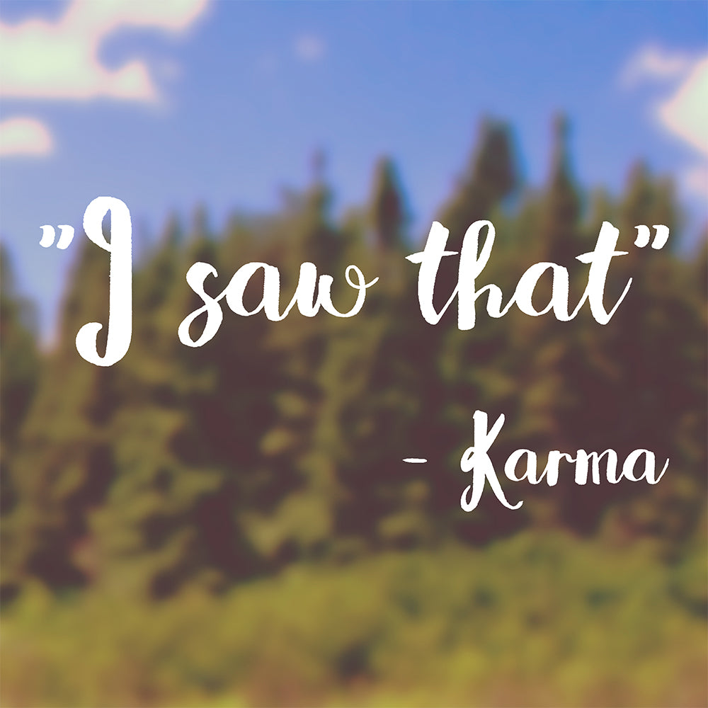 I saw that - Karma | Bumper sticker - Adnil Creations