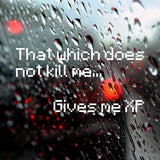 That which does not kill me gives me XP | Bumper sticker - Adnil Creations