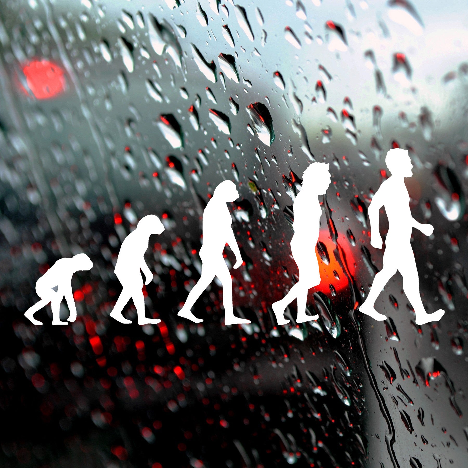 Evolution, Charles Darwin | Bumper sticker - Adnil Creations